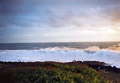 2002 - La Réunion A40
